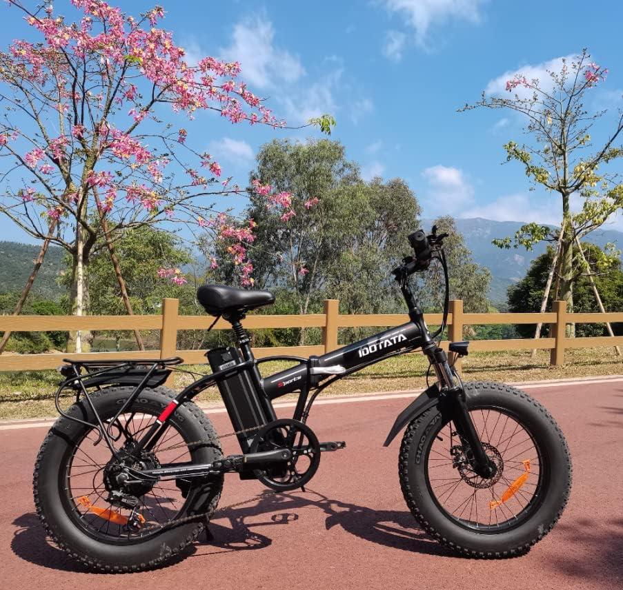 DEEPOWER G20 Electric Bikes 20" Fat Tire 250W Folding Ebike 25KM/H 48V 12.8AH Removable Lithium Battery Shimano 7-Speed Lockable Suspension Fork Electric Mountain Bicycle for Adults