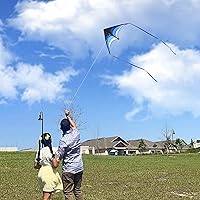 Vista 2 de Mint's Colorful Life - Cometa Delta para niños y adultos, cometa extremadamente fácil de volar, las mejores cometas para principiantes