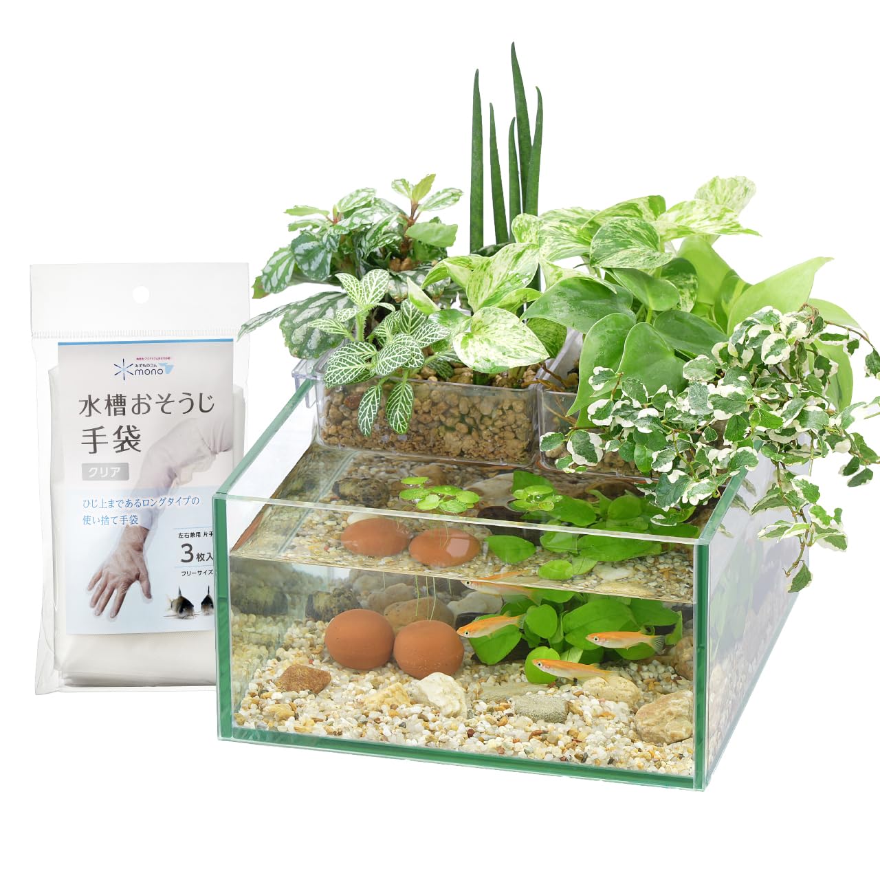 Amazon | アクアテリア N190 メダカ用（ガラス水槽と水耕栽培
