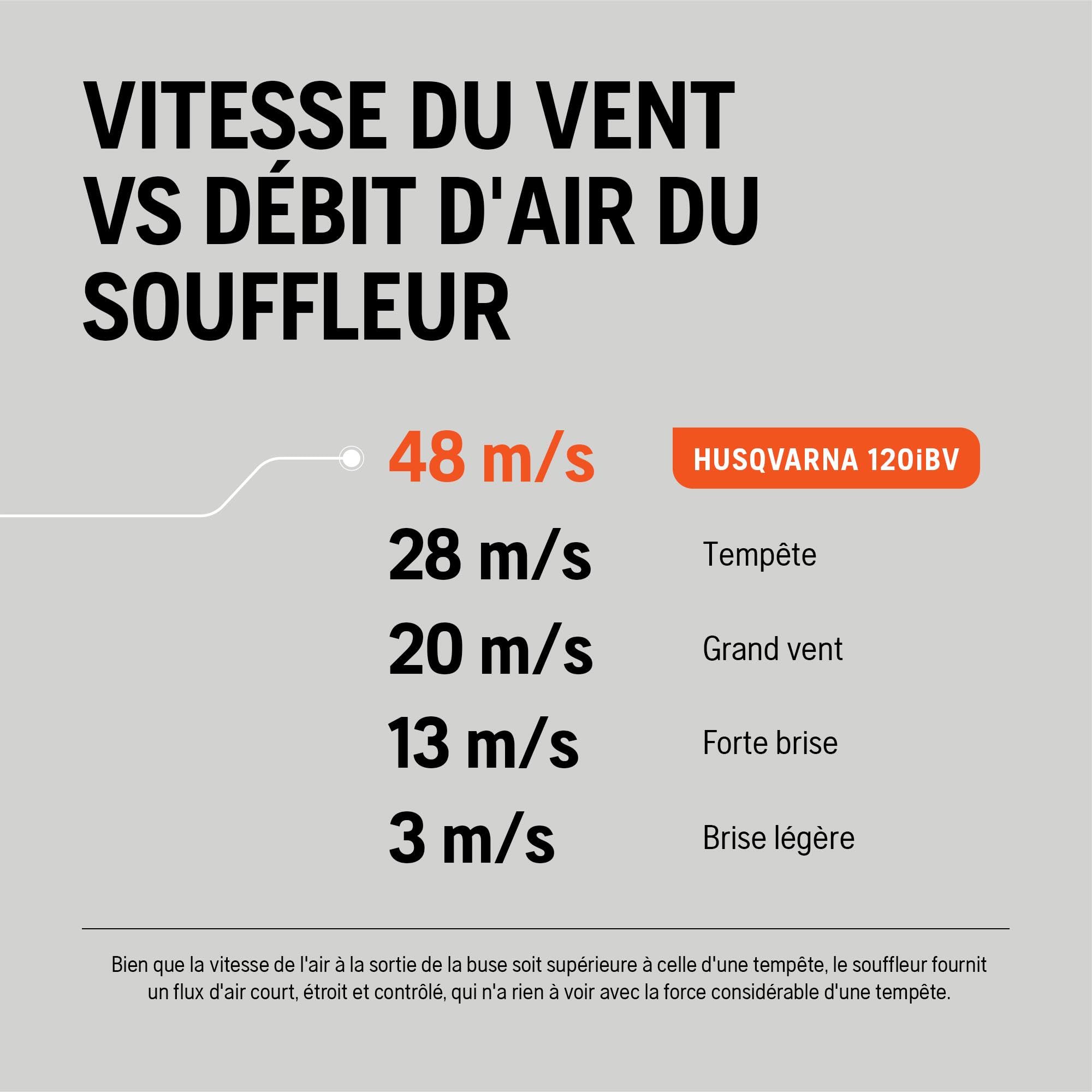 Husqvarna 120iBV Souffleur sur Batterie