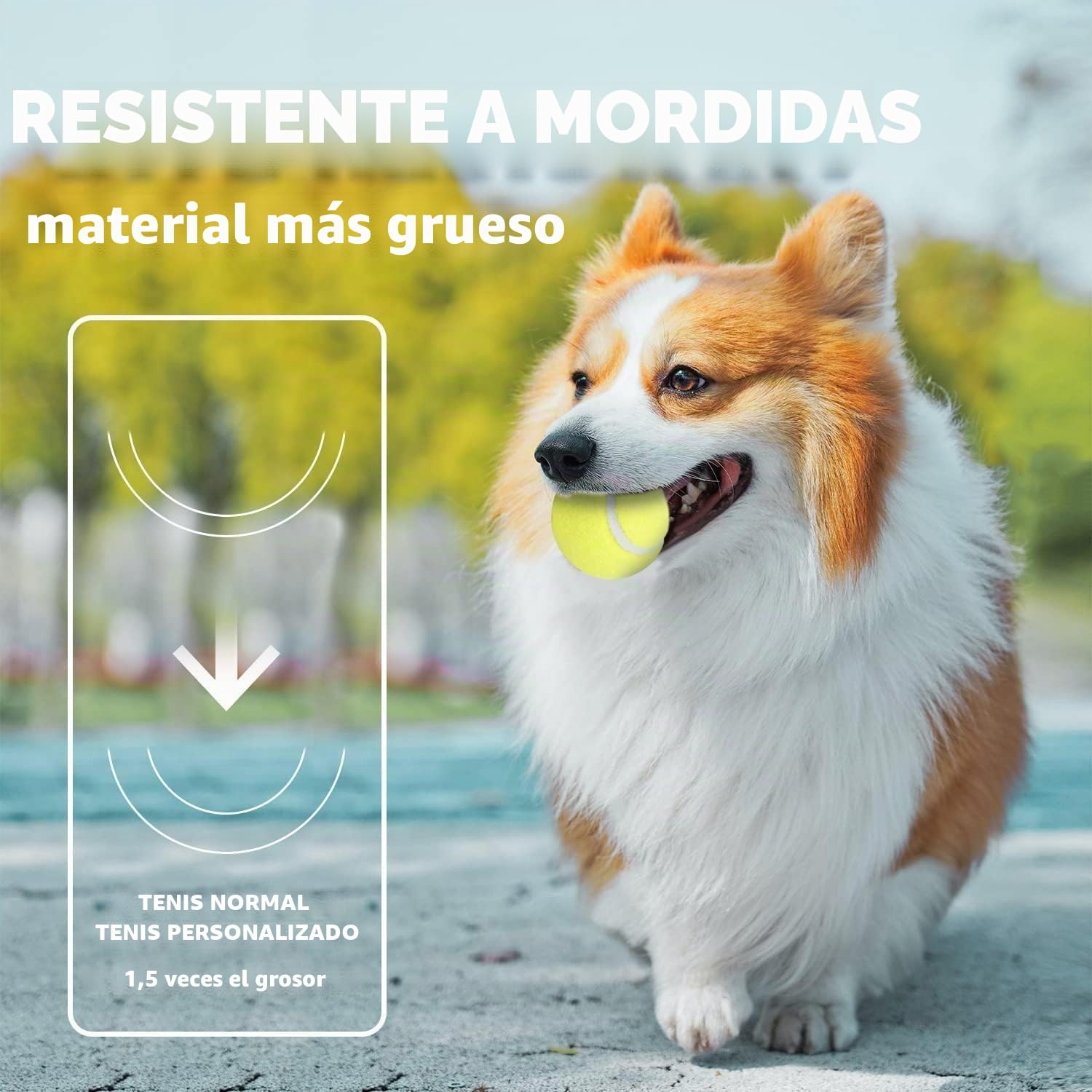 ALL FOR PAWS 6PCS Pelotas de Tenis de 2" para Perros, Juguetes de Buscar y Traer para Perros Pequeños y Medianos, Pelotas de Tenis Saltarinas y Duraderas para Lanzador de Pelotas