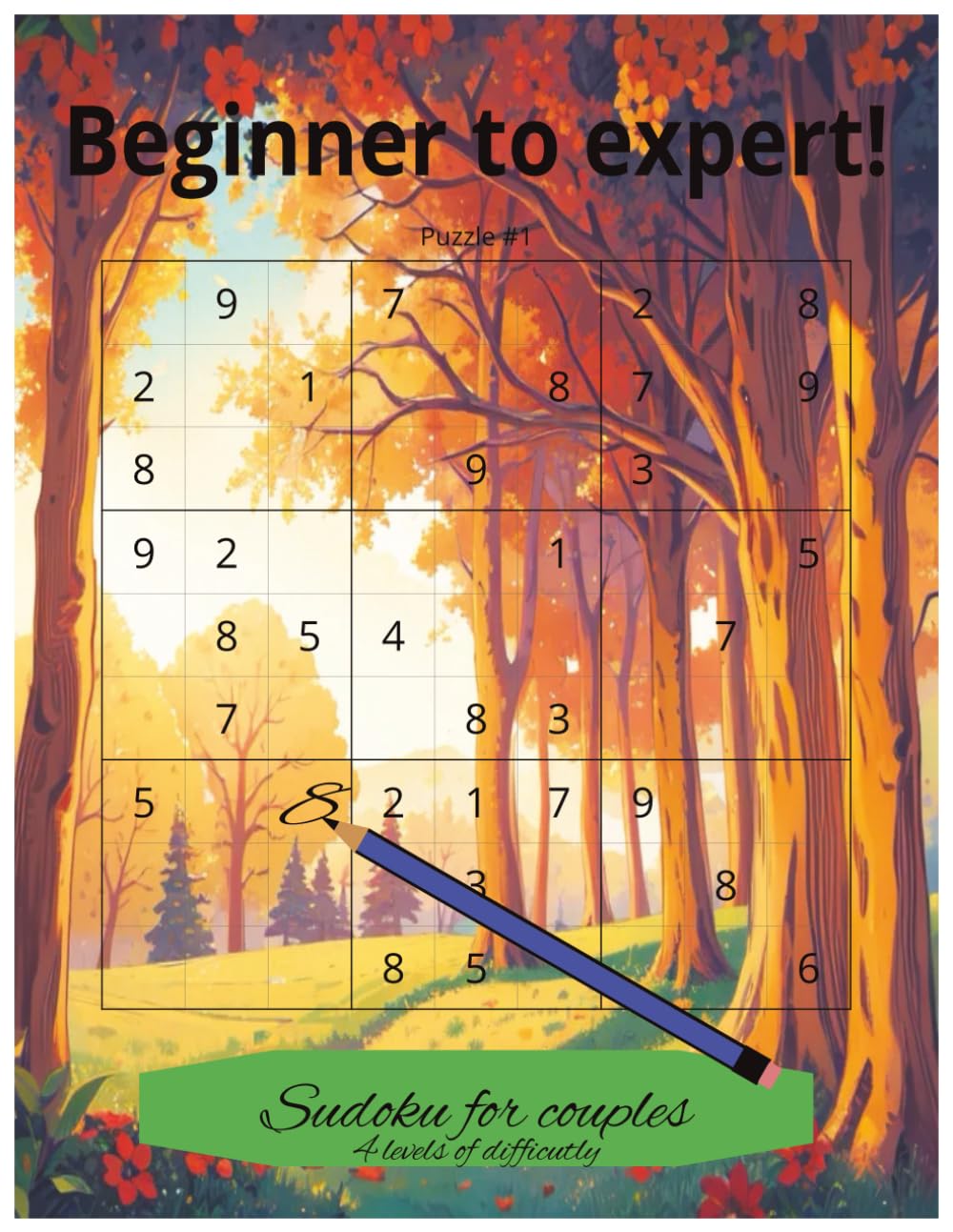 Sudoku from beginner to expert: Sudoku puzzles.