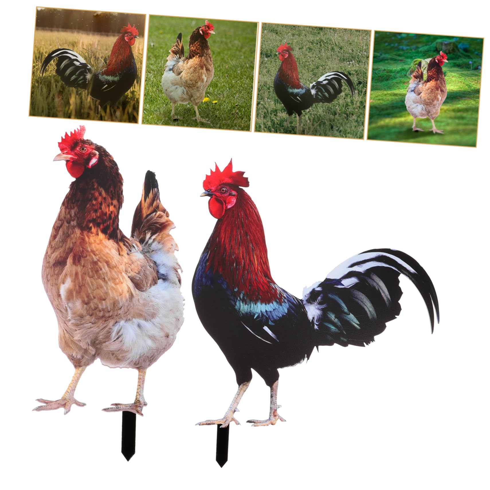 BESPORTBLE 2 dekoracyjne ogrodowe dekoracja ogrodowa kogut ozdobny akryl podwórko dla kogutów dekoracje kura ozdoby stoczni do ogrodu ozdoba trawnika miniaturowy pisklę buty rzeźba