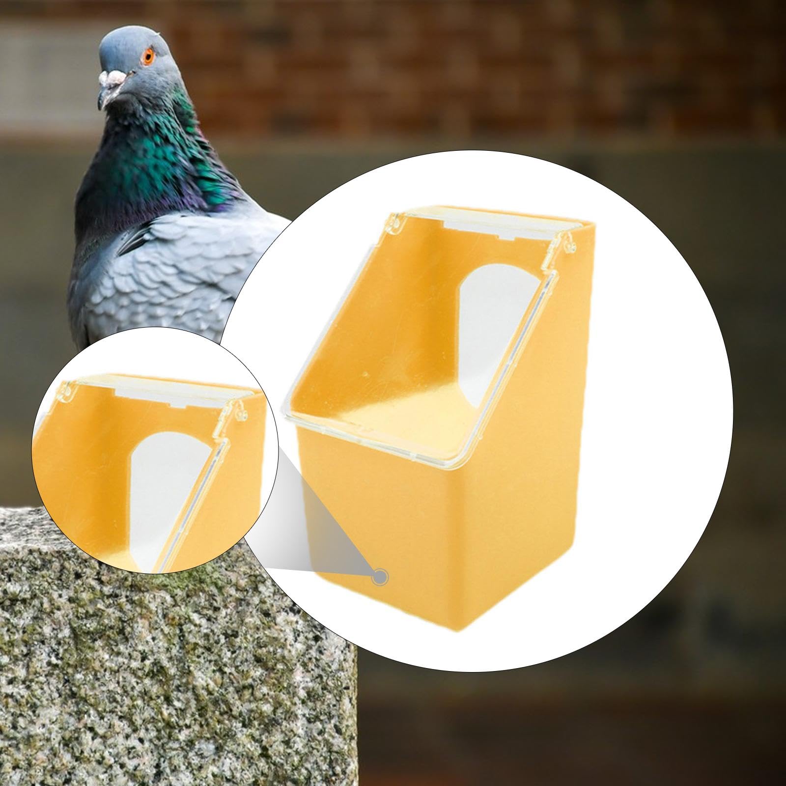 Mangeoire Suspendue pour Pigeons, mangeoire légère, boîte d'alimentation pour Oiseaux (perruches, calopsittes, Poules, Pigeons), CafÉ