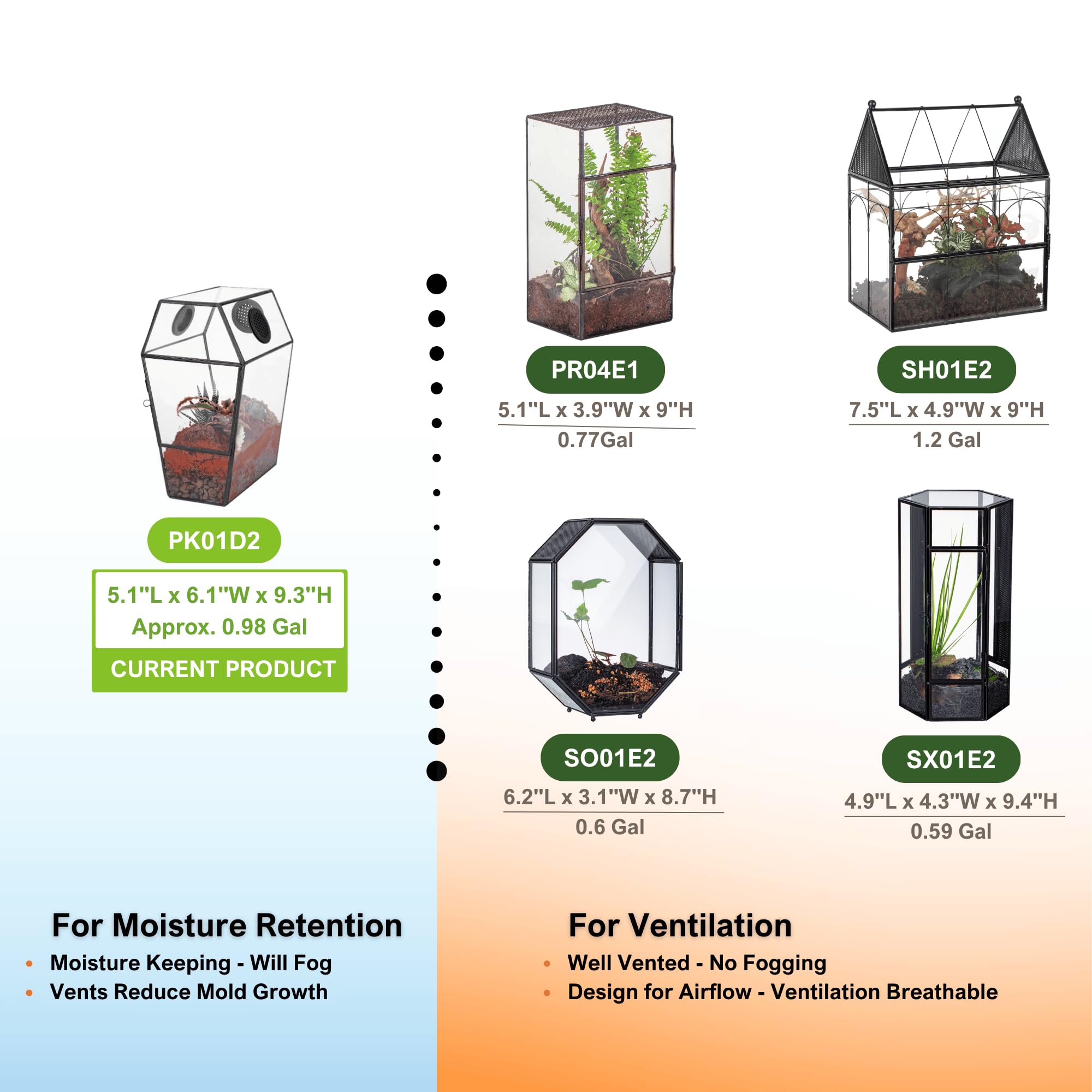 NCYP Terrarium Géométrique en Verre en Forme de Cercueil avec Trous D'aération en Maille, à Ouverture Frontale pour Araignée, Insectes (Plantes et Accessoires Non Inclus)