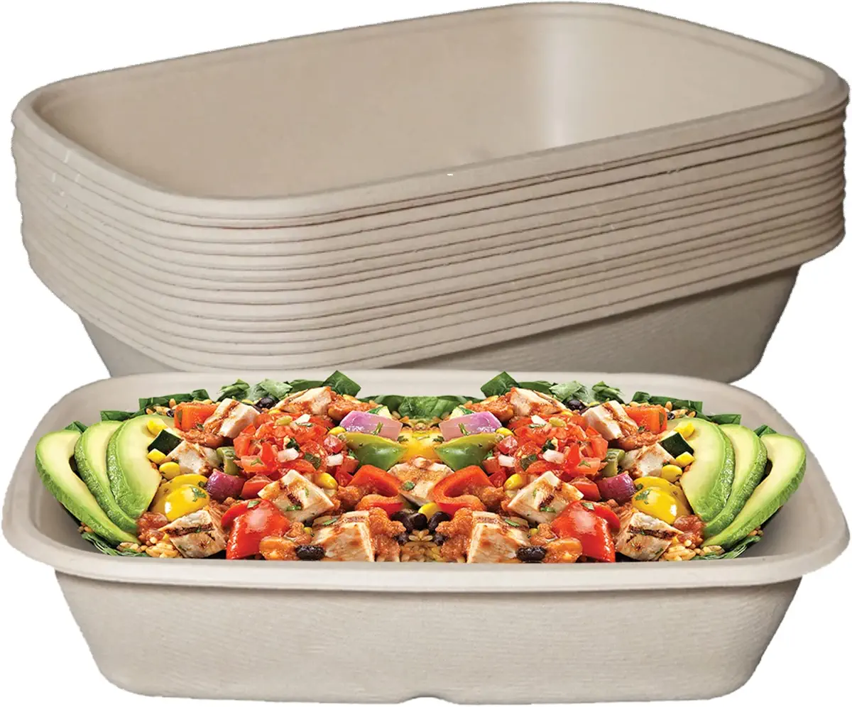 EcoQuality 29oz Disposable Bowls - Rectangular Compostable Sugarcane Fiber Biodegradable Paper Bowls Eco-Friendly Oblong Take Out Food Containers, Food Storage, Microwave Safe, Meal Prep (25 PACK)