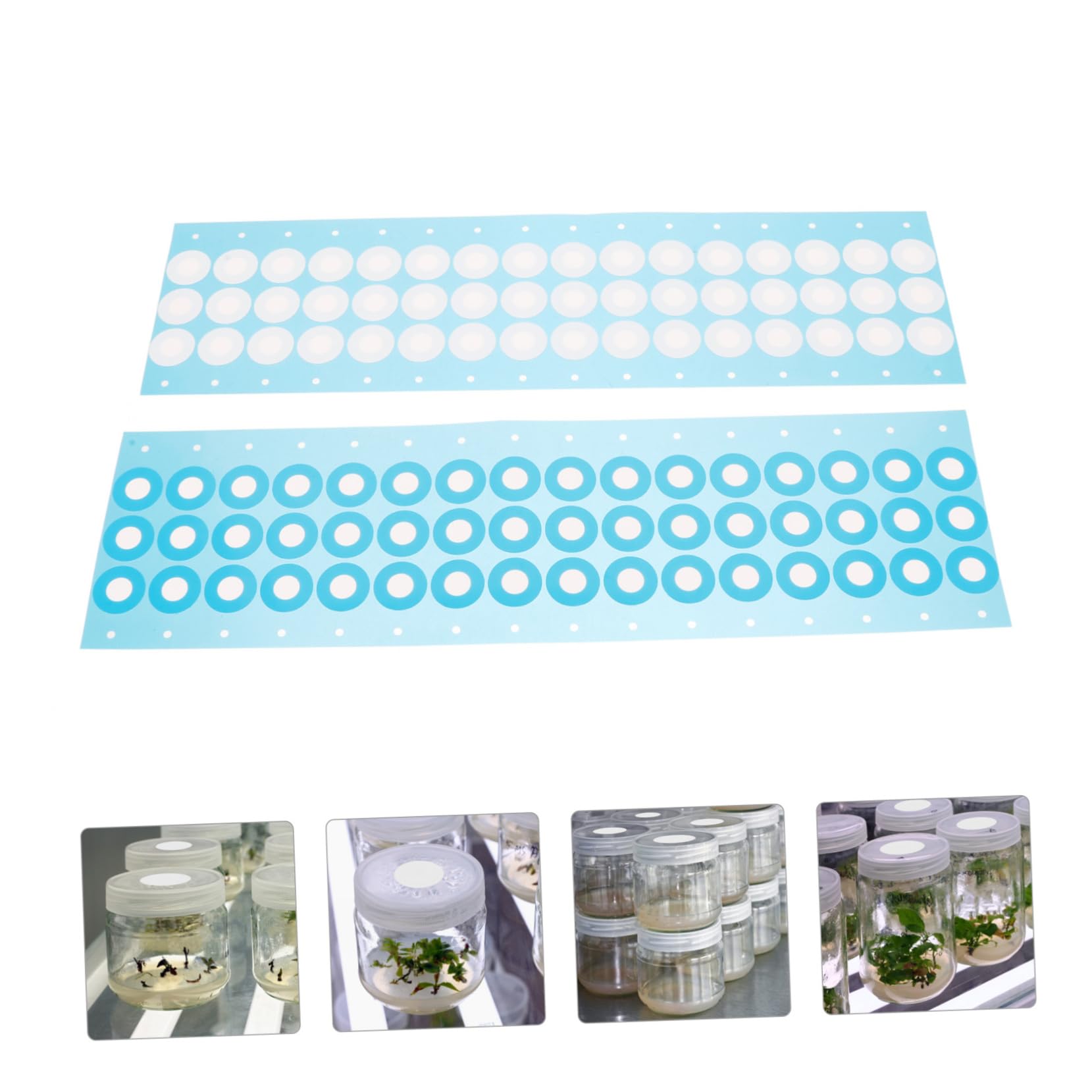 2blätter Mushroom Bottle Isolation Pad Atmungsaktive Membran Für Pilzkulturen Eptfe Material Dual-Design Für Und Schutz