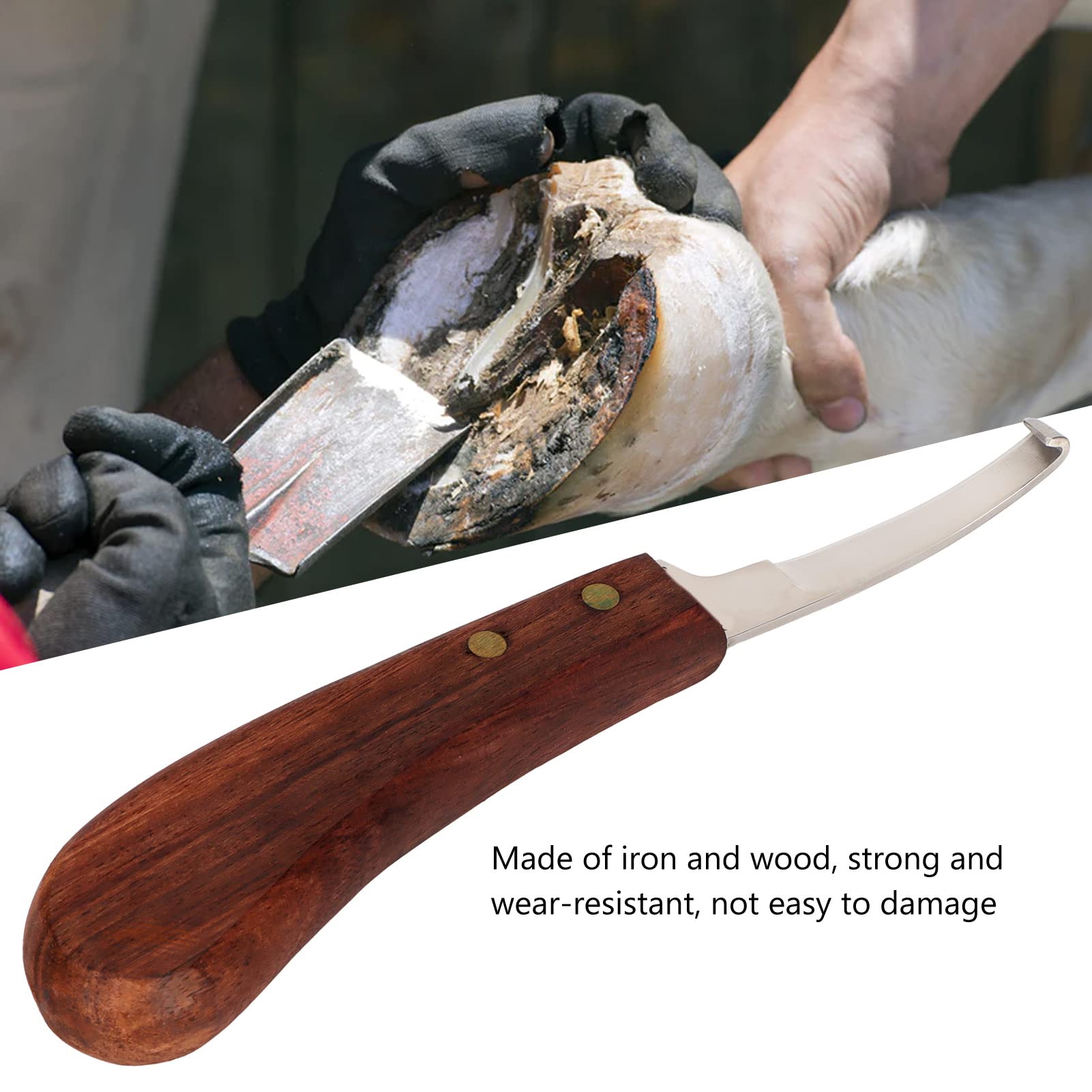Hufmesser Für Die Linke Hand, Hufmesser aus Stahl Mit Gebogener Klinge Und Ergonomischem Holzgriff, Hufpickmesser aus Eisen, Hufschneidewerkzeug Für Zuchtbetriebe, Im Freien(Rechte Hand)