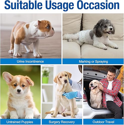 Miniatura 6 de Pet Soft Envolturas desechables para perros pañales desechables para perros machos cachorros marcando incontinentes 12-72 unidades