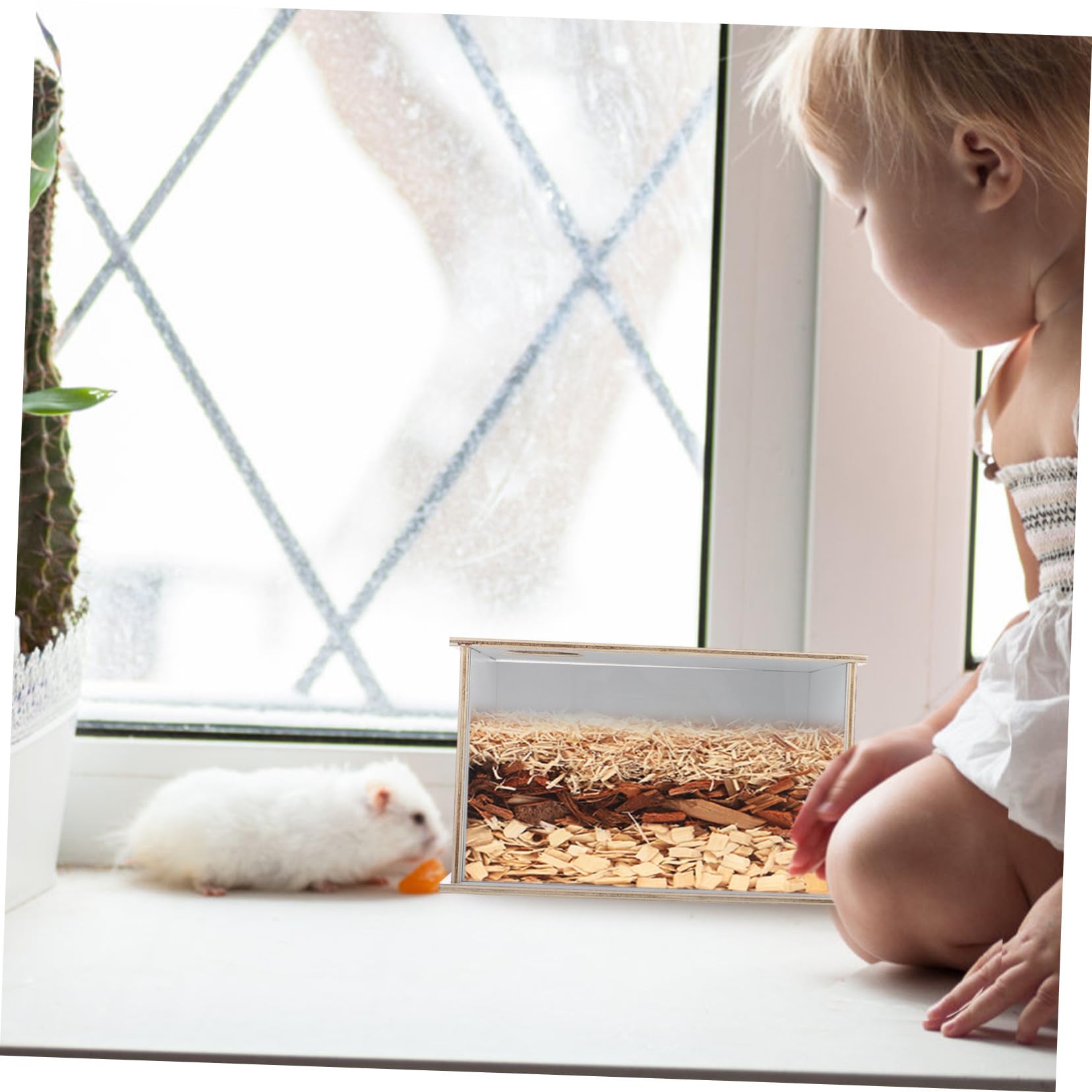 Abaodam Multifunktions Sandbad für Hamster und Chinchillas, Dekorativ