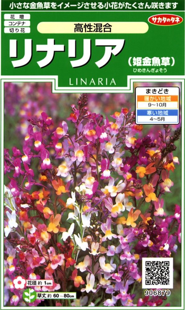 Amazon | サカタのタネ 実咲花6879 リナリア (姫金魚草)高性混合