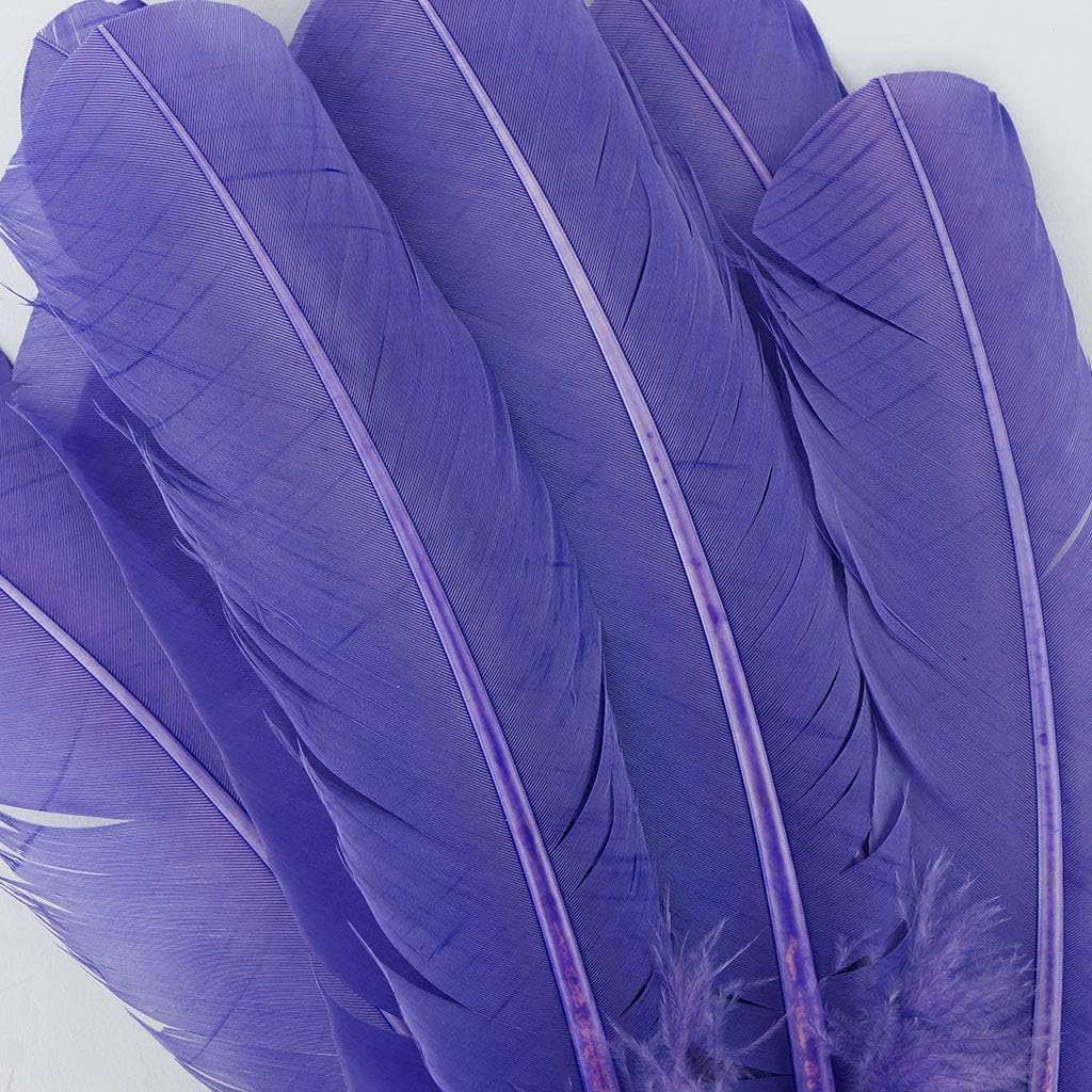 Zucker 10-12 inch Turkey Feathers for Crafts - 4pc Quills for DIY Headdress, Dream Catcher, Home Decor - Lavender