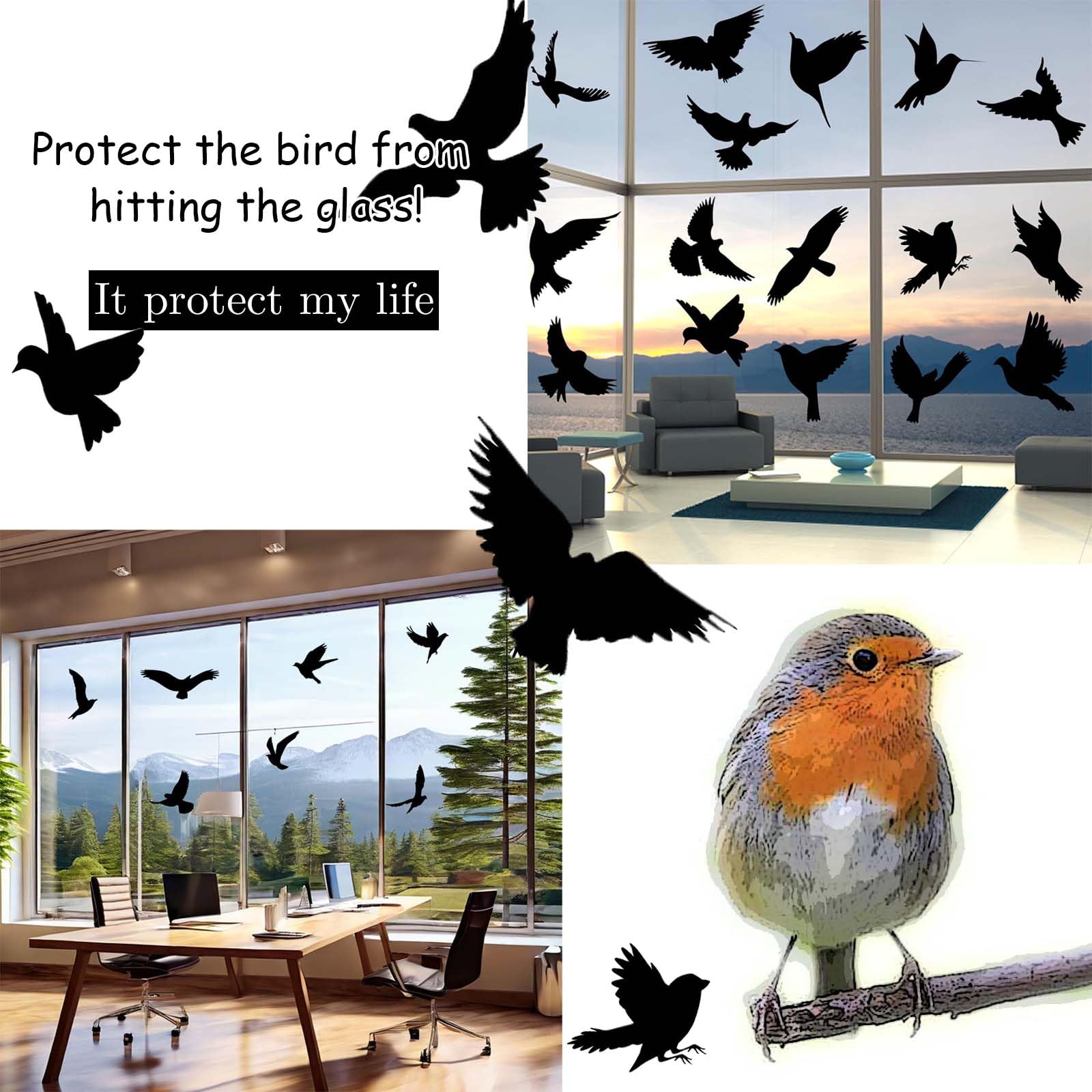 Adesivi Anti-collisione Per Uccelli - 16 Pezzi, PVC, Per Finestre E Porte Vetrate - Foto 10