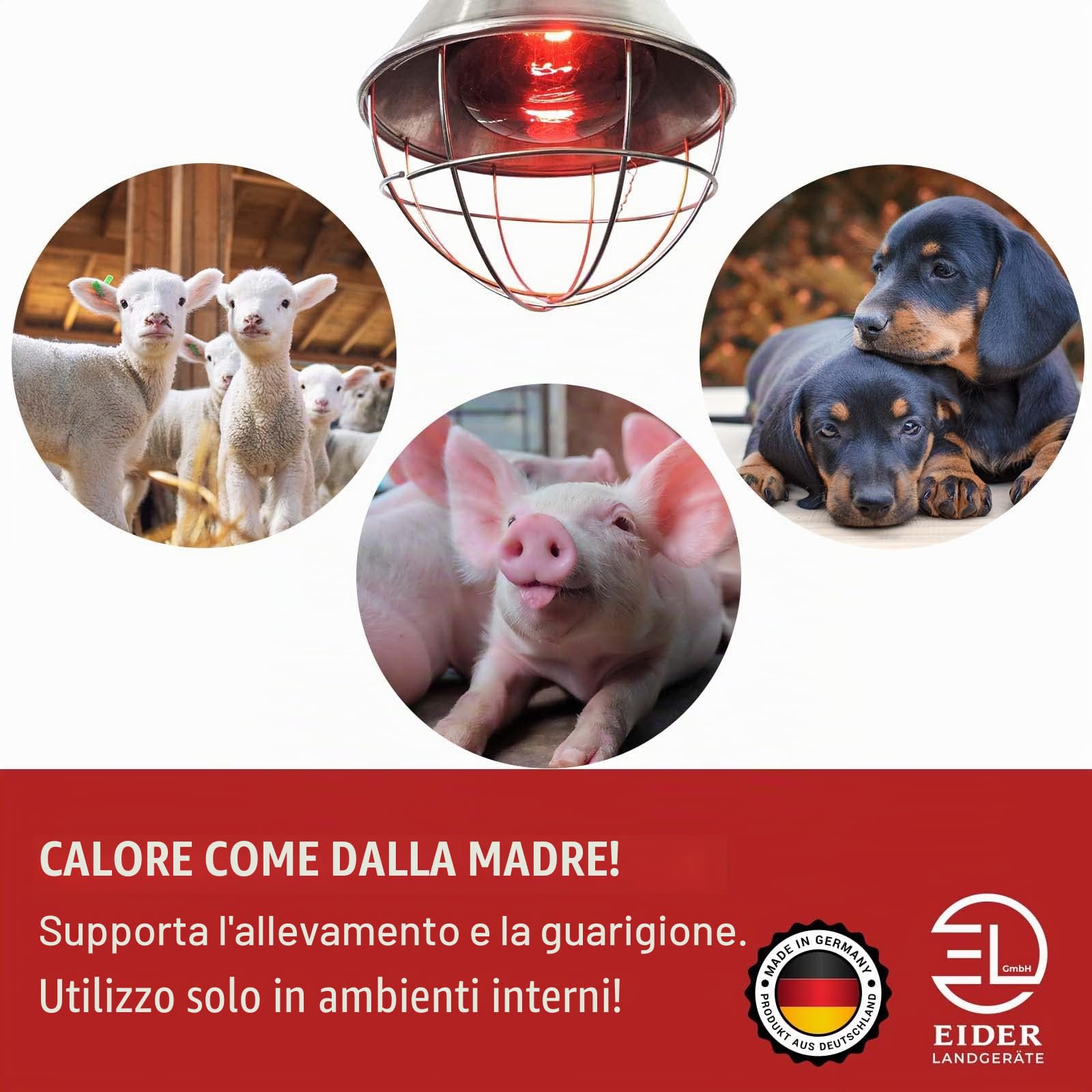 Eider, dispositivo di getto di calore a infrarossicon lampadina (lampadina da 150 W già inclusa), lampada riscaldante per animali
