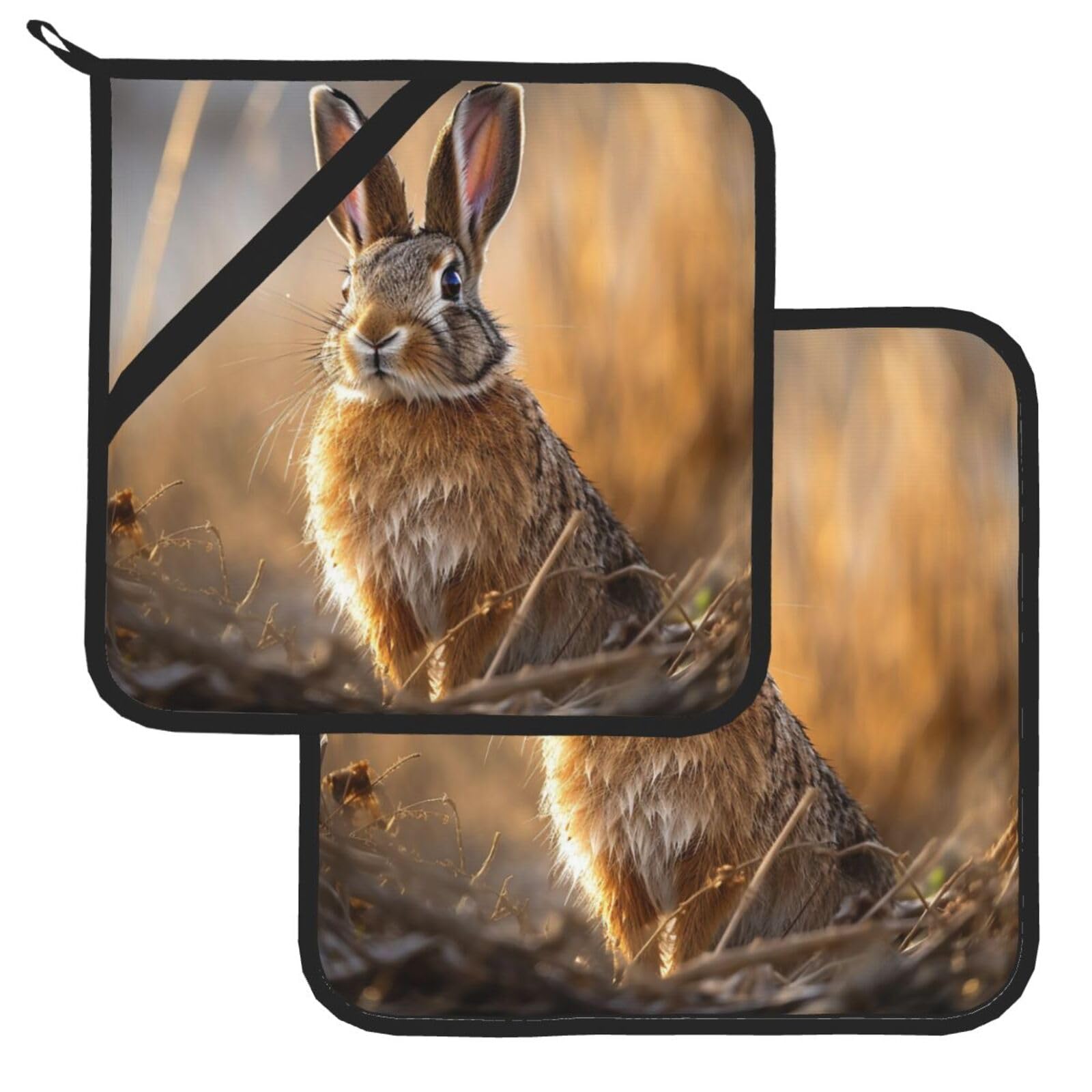 Pot Holder Set of 2 Heat Resistant Potholders Hare Pot Holders Non Slip Kitchen Trivets Cooking Hot Potholder Washable Oven Mitts Oven Hot Pads for Kitchen Baking BBQ