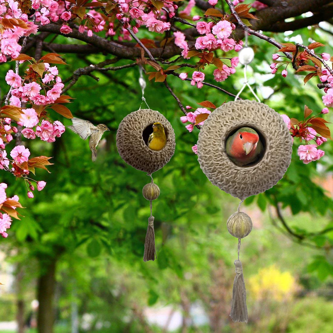Jainsons Pet Products Jute and Earthenware Bird Nest - Beautiful Nesting Home and Bird Feeder - Natural Textures Encourage Foot and Beak Exercise - 100% Natural Earthenware Jute for Small Birds (B07T8MZ56Q) Amazon Price History, Amazon Price Tracker