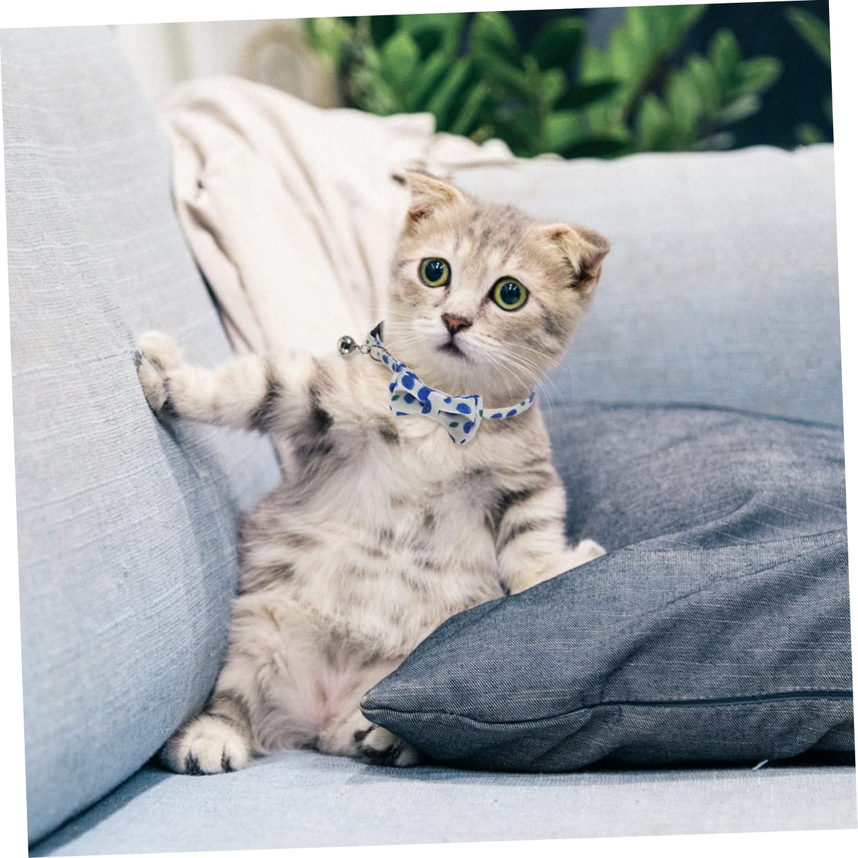 Didiseaon 6pezzi Collare Per Gatti Canvas Design Fruttato e Campanella Per Gatti Interni Ed Esterni