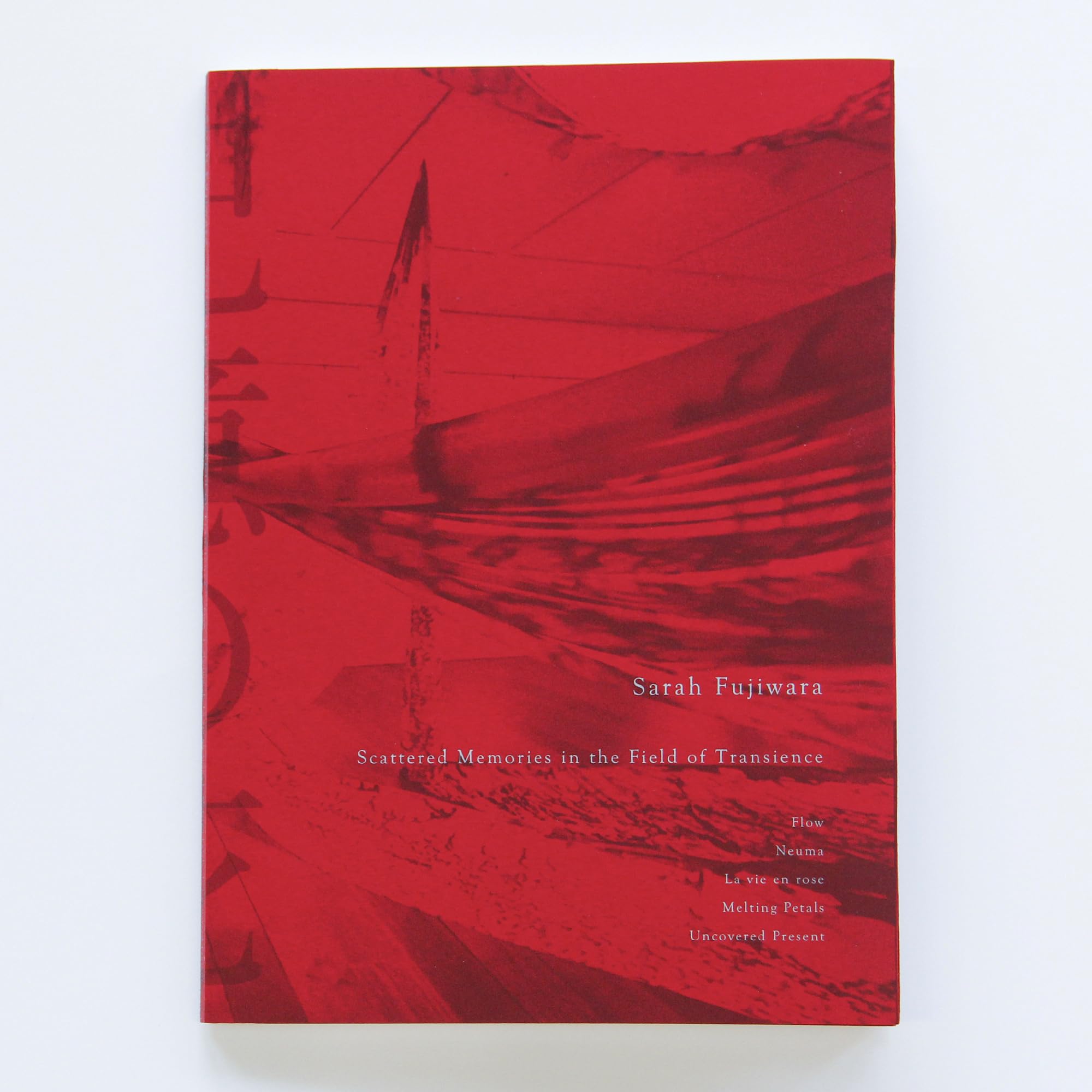 Amazon.co.jp: 記憶の花 : 藤原更, 藤原更, 鈴木潔, 飯沢耕太郎