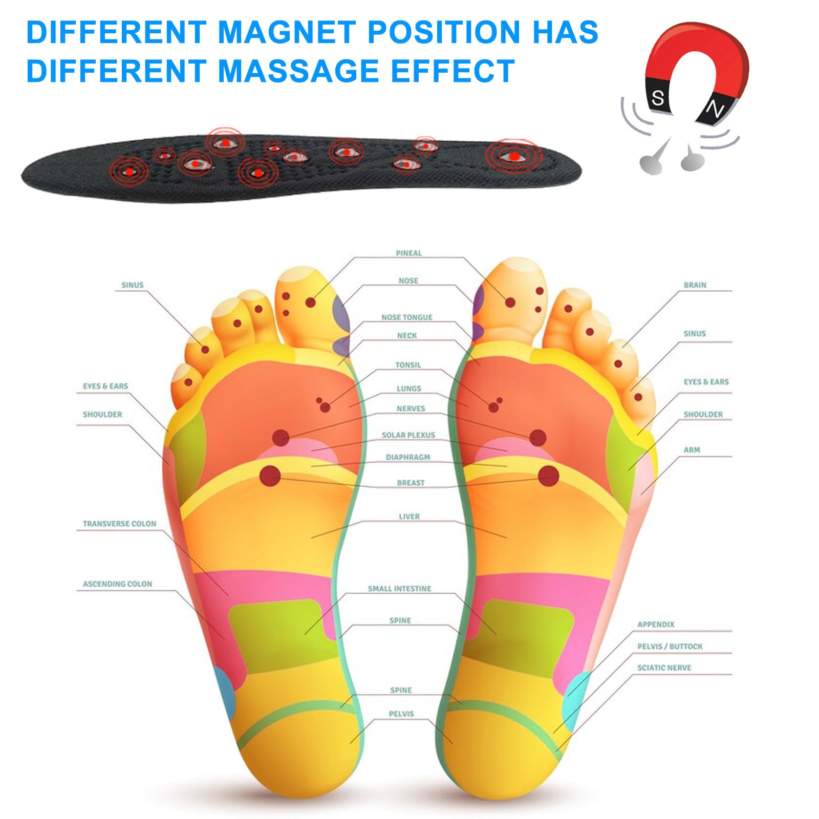 Plantillas Adelgazantes Plantillas Magnéticas Para Adelgazar