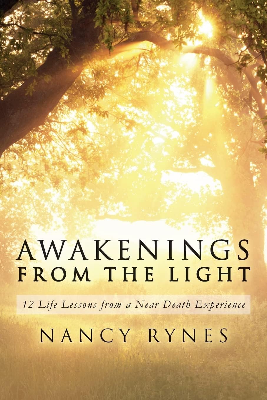 Awakenings from the Light: 12 Life Lessons from a Near Death Experience Paperback – 16 Jun. 2015