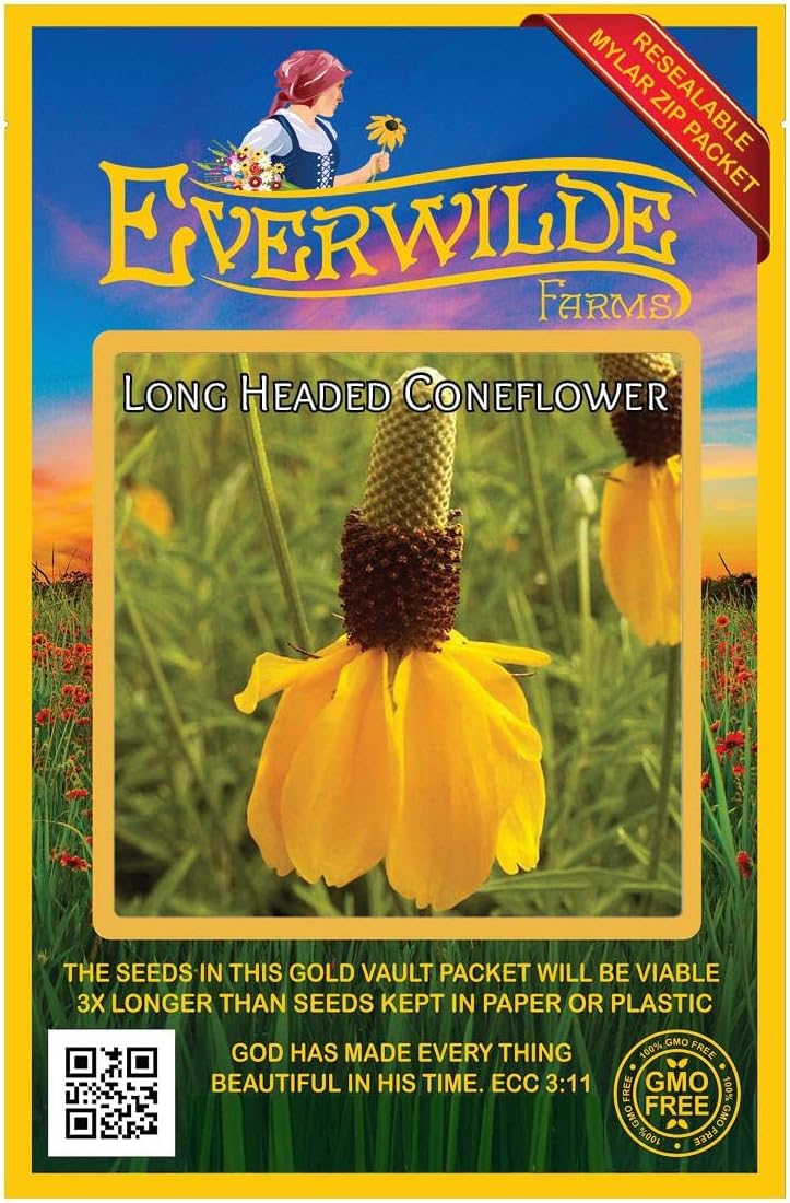 Everwilde Farms - 1 Lb Long-Headed Coneflower Native Wildflower Seeds - Gold Vault