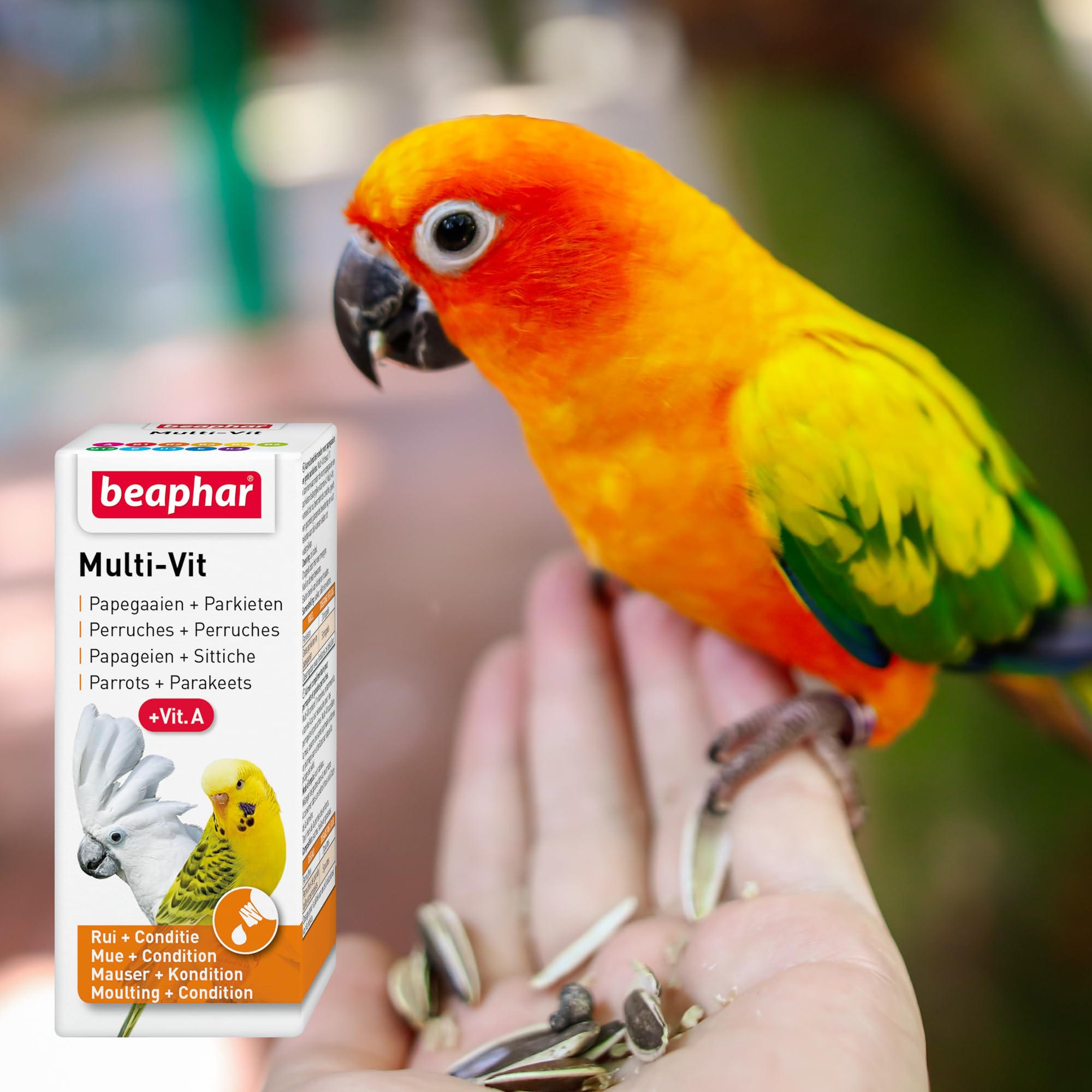 Beaphar – Multi-Vit for Parrots & Parakeets – Promotes Rapid, Complete Moult & Prevents Feather Plucking – Contains 12 Vitamins – Easy-to-Use, Mix With Food – Suitable for Parrots & Parakeets – 20ml