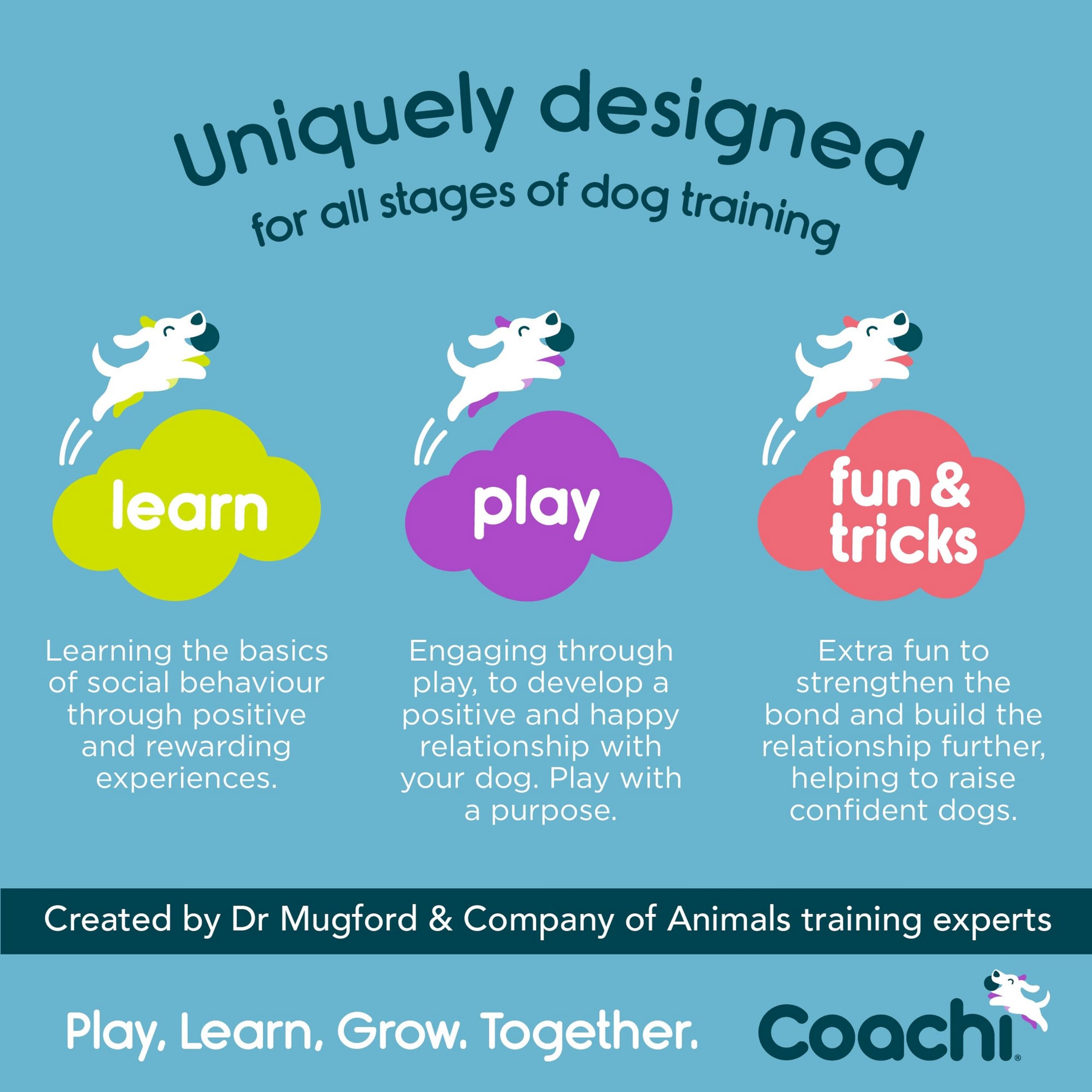 Coachi Tuggi Hide, Great for Interactive Play, Strong & Comfortable, Stretchy Bungee Handle, Reward Training, Recall, Interrupting Biting & Chewing, Perfect For Agility, Suitable for Dogs & Puppies