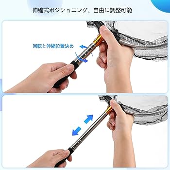 Amazon.co.jp: LEDMOMO メダカ 網 魚とり網 虫取り網 魚を掬う