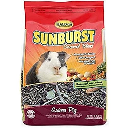 Higgins Sunburst Guinea Pig 6 Lb