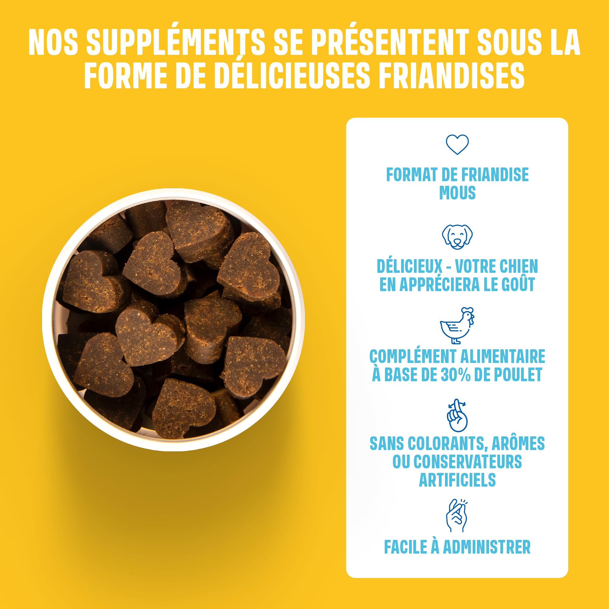 ivvi Multivitamines - Complément Alimentaire pour Chien - Soins Complets pour Une Vie de Chien Heureuse - 60 Délicieuses Friandises au Poulet (270g)