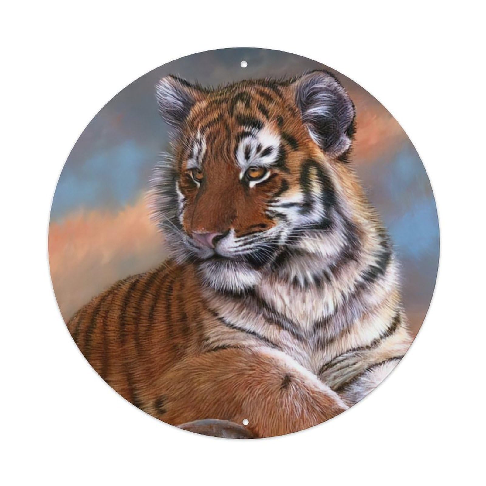 Animals Artwork Tiger Cub on The Rock Vintage Metal Tin Sign Plaque Wall Decor for Cafe, Club Bar, Office, Garden Metal Poster 8x8Inch