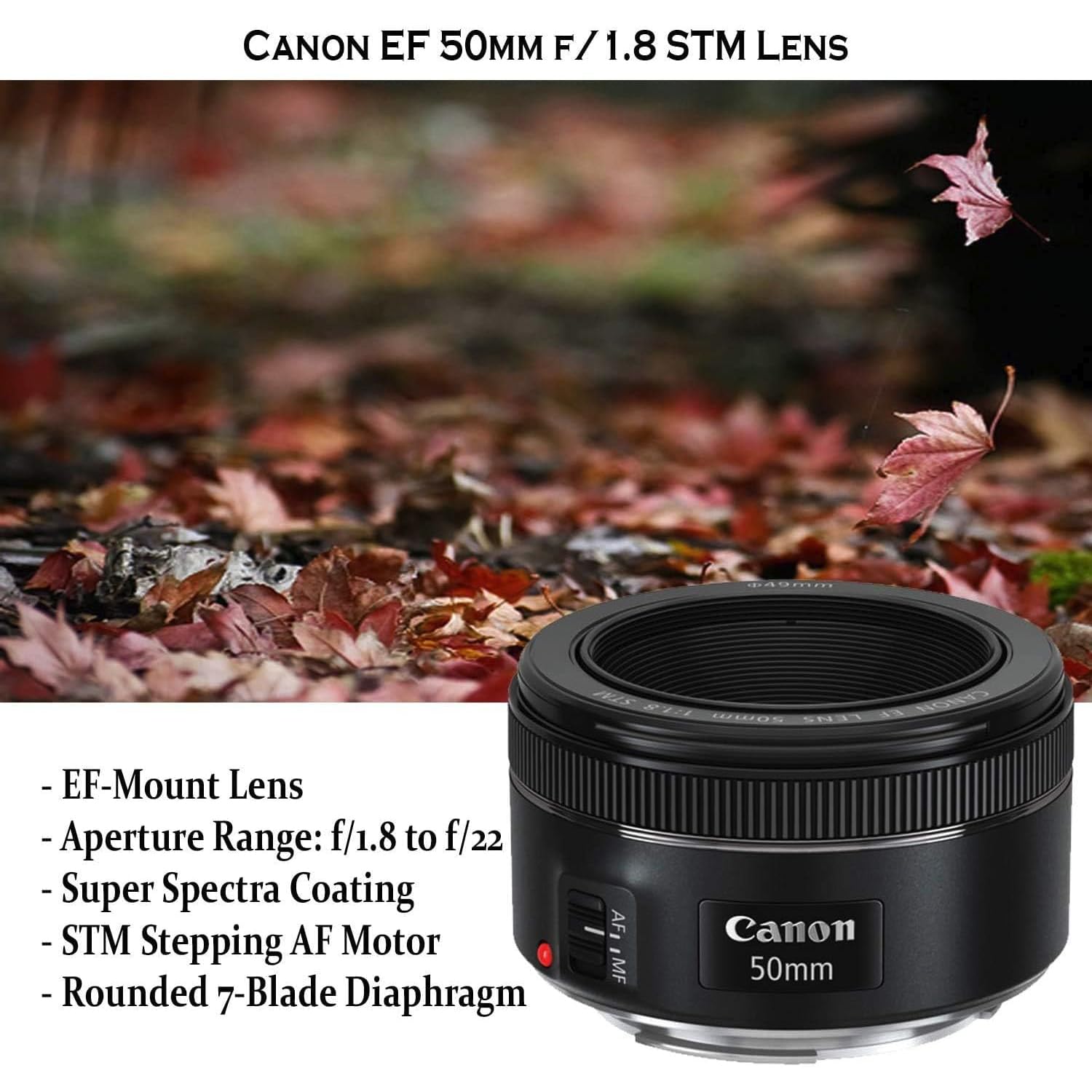 Amazon.com : Canon EOS 90D DSLR Camera with Canon 18-135mm/ EF