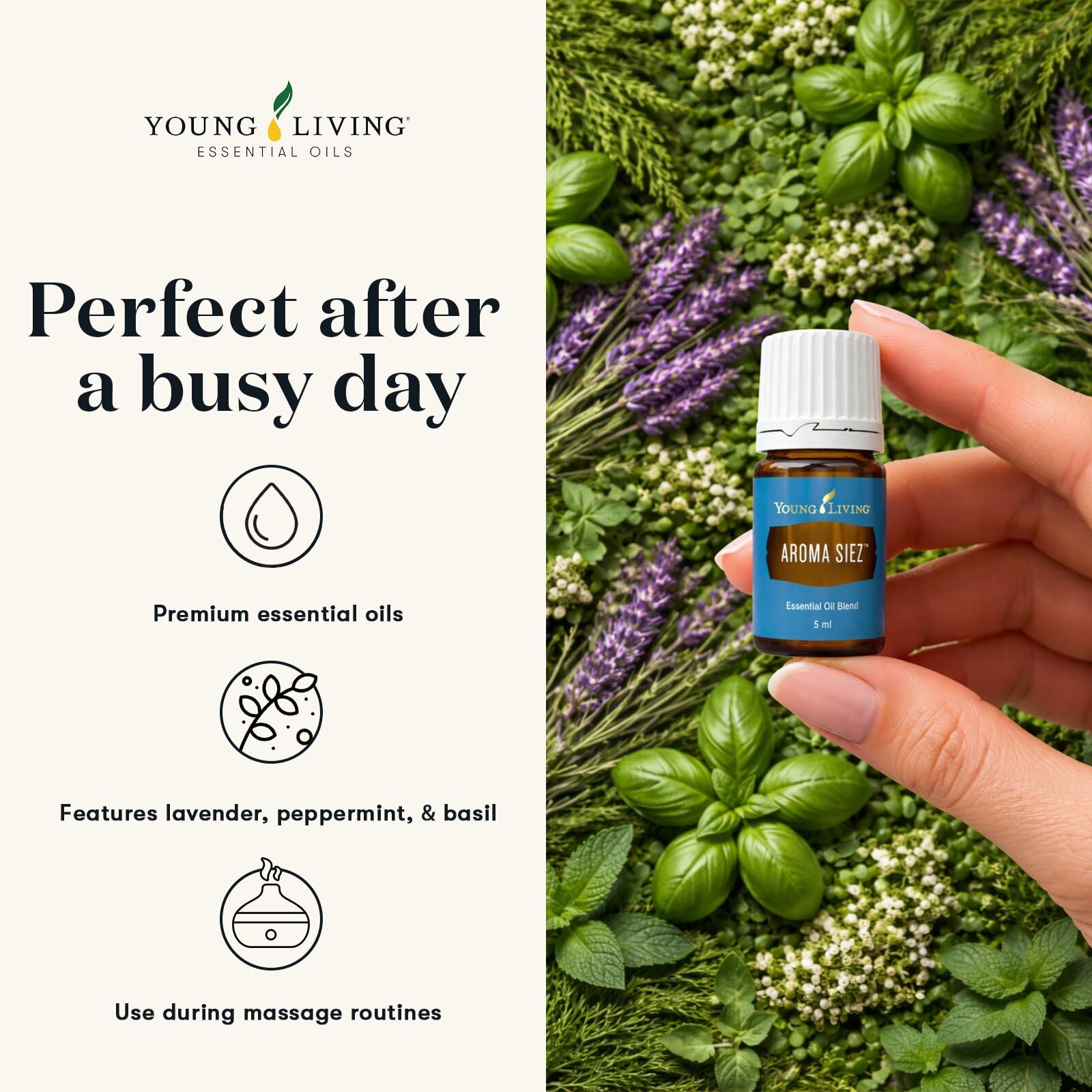 Amazon.com: Young Living Aroma Siez Essential Oil Blend | 5 ml