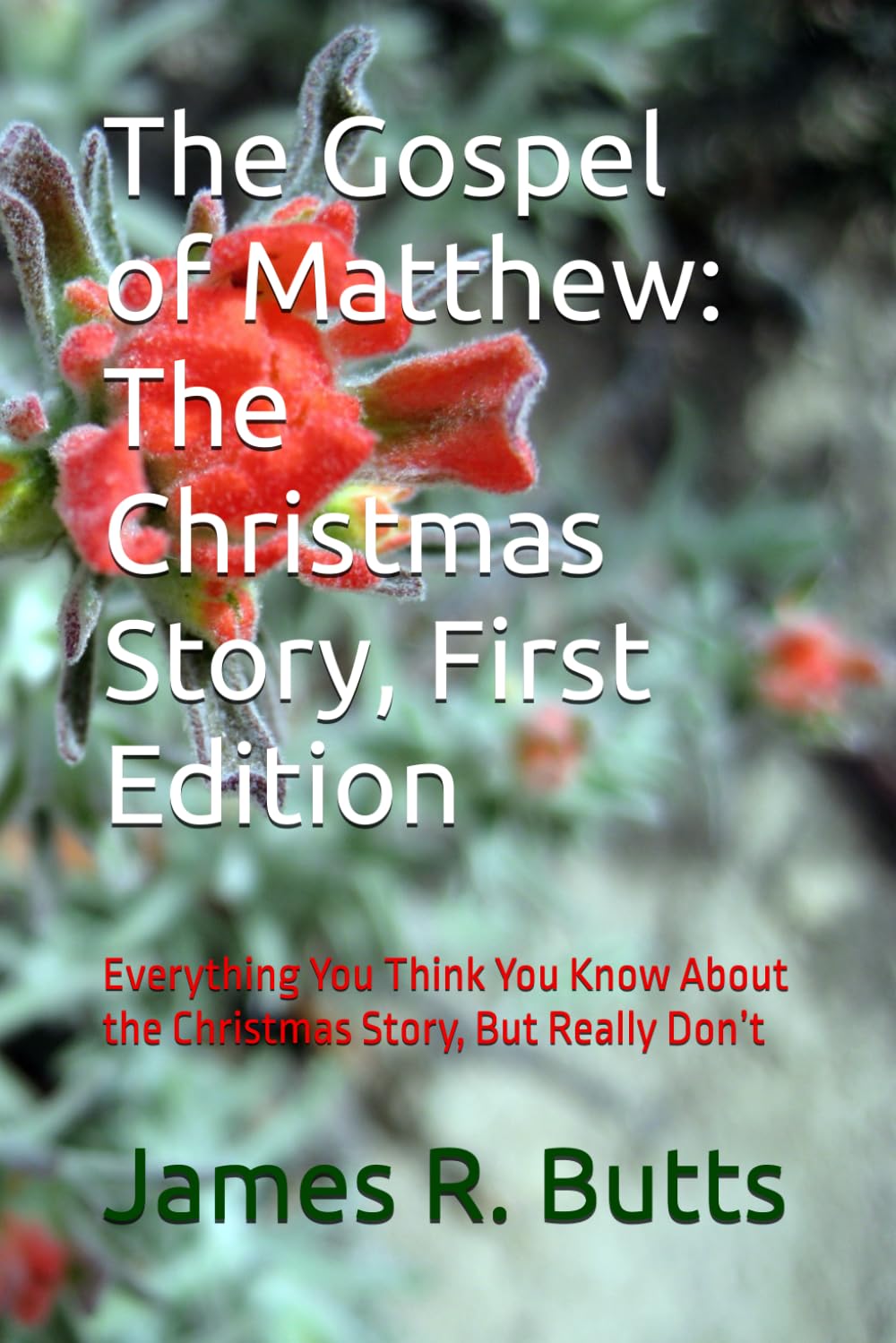 The Gospel of Matthew: The Christmas Story, First Edition: Everything You Think You Know About the Christmas Story, But Really Don’t (Modern Bible ... the Curious and Others in the Pew or Beyond)