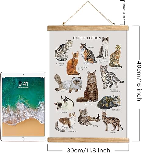 Miniatura 262 de XIAOAIKA Póster de botánica vintage con marco de madera, tabla de plantas venenosas antiguas, arte educativo botánico con especies peligrosas, 1