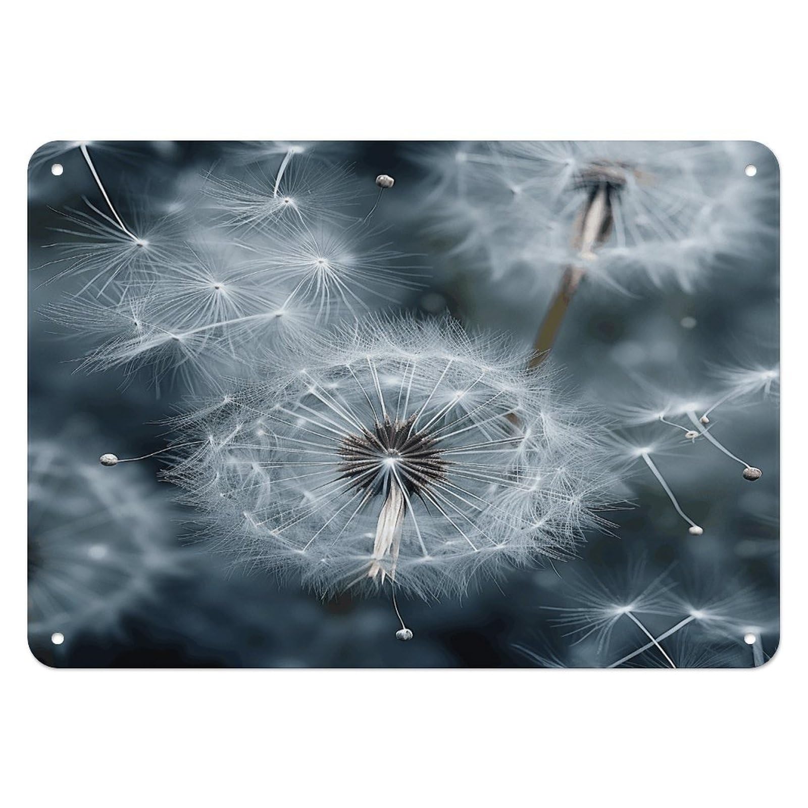 Btcowzrv Style Dandelion Seeds Pictures Metal Sign, 5.5" X 7.9" Tin Wall Decor, Wall Art Plaques For Home Wedding Decor Room Living Room Decoration