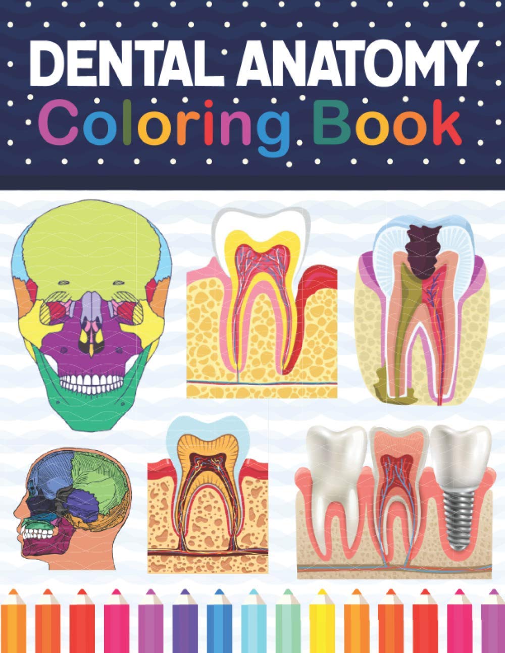 Dental Anatomy Coloring Book: Dental Anatomy Self test Guide for Dental Anatomy Students. Tooth Art & Anatomy Workbook for Kids & Adults. Perfect Gift ... Dental Assisting & Hygienist Coloring Book