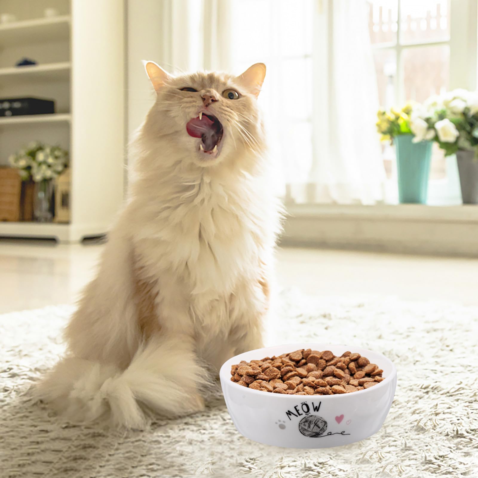 Keramik Futternapf für Katzen rutschfest mit Cartoon Motiv zum Füttern und Trinken