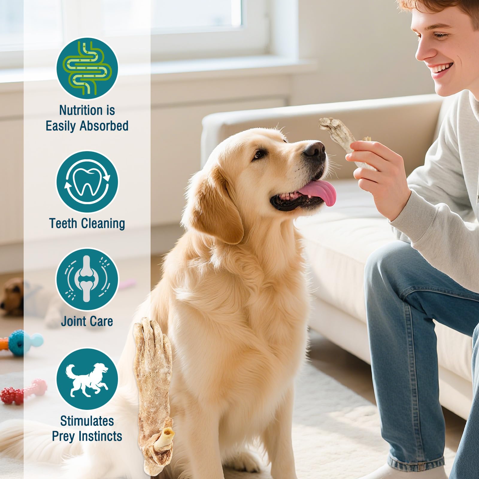 Friandises pour Chiens à Base de Pattes de Lapin lyophilisées Friandises à mâcher Naturelles sans céréales pour Chiens Single-Ingredient, High-Protein Snacks,Hypoallergenic (50g/1.76oz)