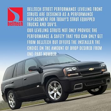 Belltech 25011 Lowering and Lifting Shock