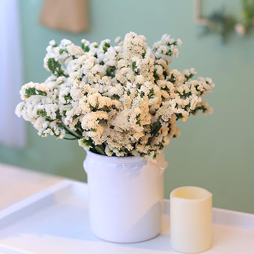 Ramo de lavanda marina de flores secas, estática real 100% natural, más de 100 ramas, flor blanca preservada, paquete de lavanda seca de 12 pulgadas