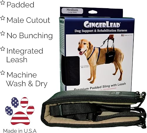 Miniatura 8 de GINGERLEAD Arnés de soporte de cadera para perro ayuda de elevación trasera acolchada que ayuda a las mascotas mayores a caminar K9s a recuperarse