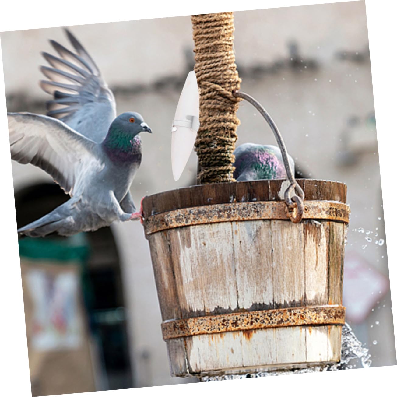 BESPORTBLE 30pièces Jouets à Mâcher pour Oiseaux Accessoires Amusants De Seiche pour Perruches Et Perroquets Stimulez Activité Physique Et Fournit Un Supplément De