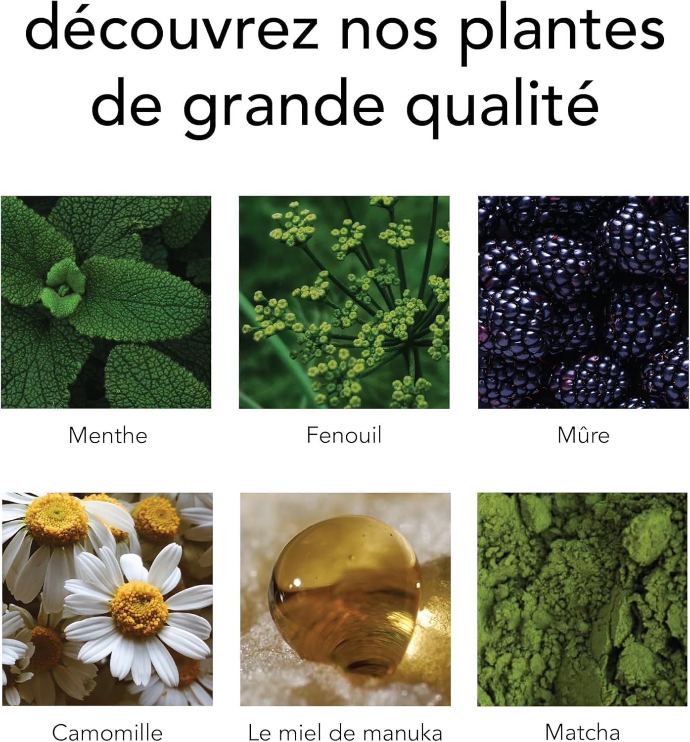 Pukka Coffret Découverte en Bambou, Idée Cadeau Femme et Homme, Coffret Cadeau Tisanes, Cadeau Thé 100% Bio Saint Valentin, Anniversaire, 6 Saveurs, Matcha, Gingembre, Menthe, 42 Sachets