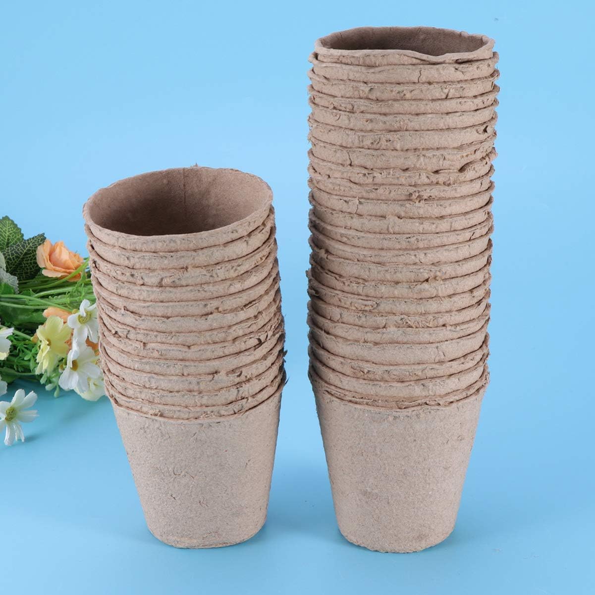 Hemoton 100 Pcs Biodegradable Peat Pots for Seedlings Plant Starter Pots Kit Succulent Planters Nursery Pots (8 x8 cm) : Patio, Lawn & Garden