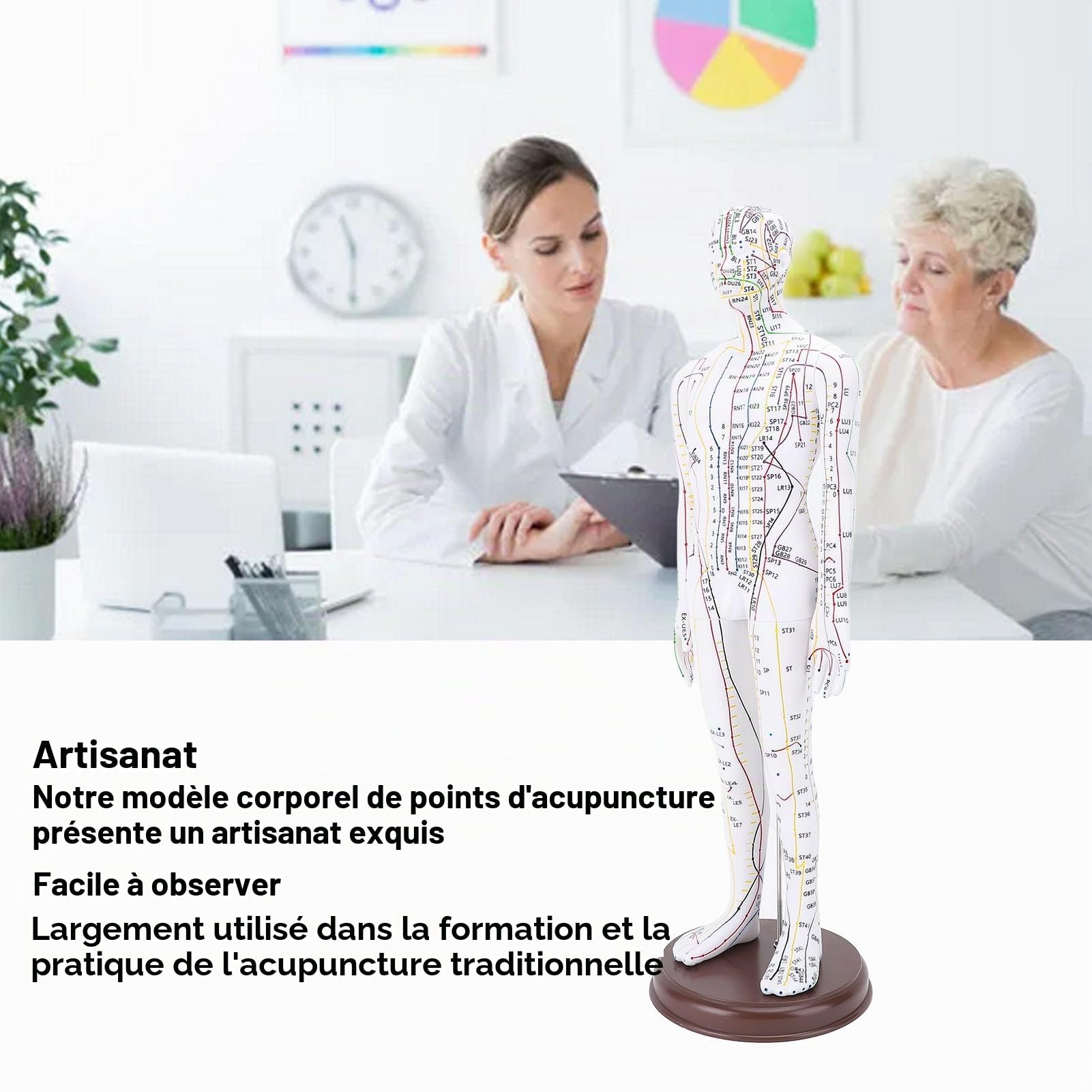 Modèle d'acupuncture, poupée d'acupuncture professionnelle en PVC de 20,47 pouces Modèle d'acupoint humain de haute définition avec base pour l'enseignement de la médecine