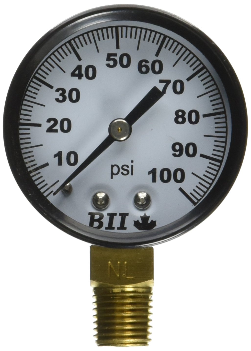 BOSHART INDUSTRIES PG-100NL Pressure Gauge 2" Face 0 To 100 Psi, Lead Free