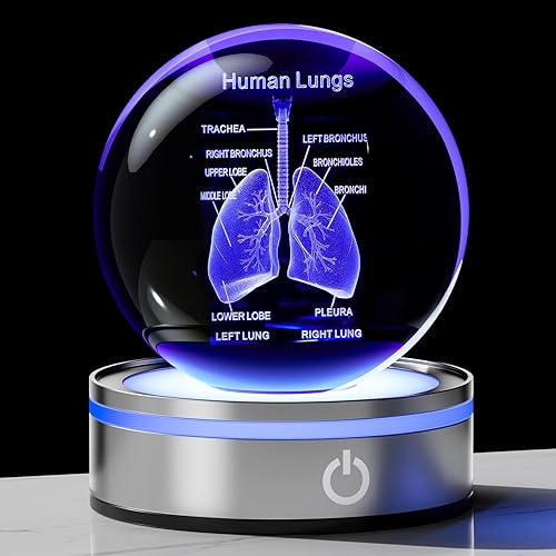Enjinkail 3D Human Lung Model Crystal Ball Doctor Gifts for