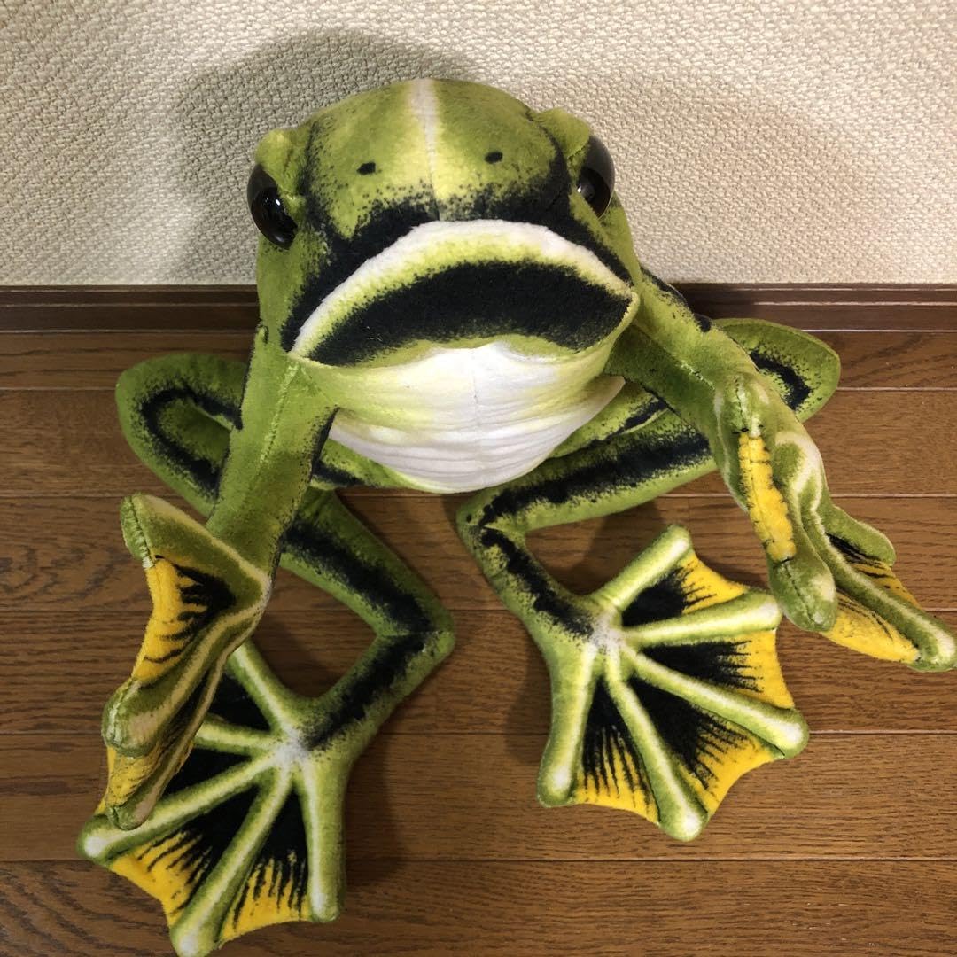 カエル 蛙 ぬいぐるみ BIG Amazon.co.jp: 週末特別 リアル BIG カエル 蛙 ぬいぐるみ : おもちゃ