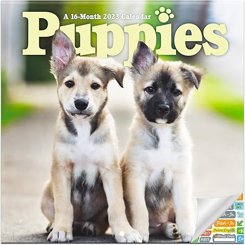 Calendario de cachorros 2023 paquete de calendario de pared de lujo 2023 para cachorros con más de 100 calcomanías de calendario regalos para
